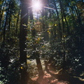 Great Smoky Mountains in the Fall